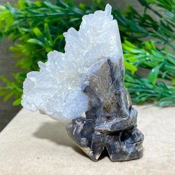 Crânios De Cristal De Quartzo Em Pedra Natural Gemas Minerais Geode Fengshui Reiki Meditação Wichcraft Decoração Para Quarto De Crânio